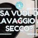 cosa vuol dire lavaggio a secco?